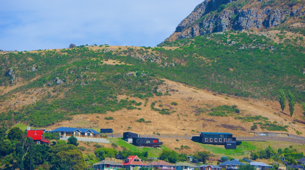 Lyttelton which includes tranquil scenes