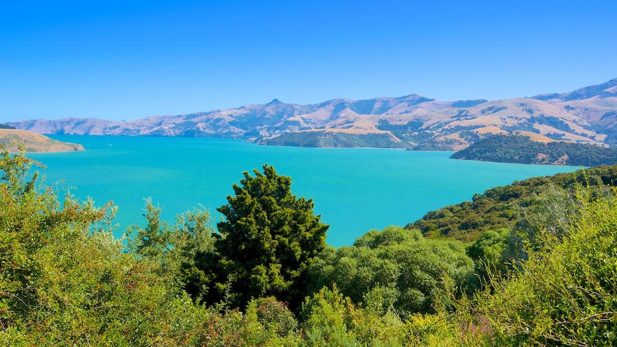 Akaroa som omfatter bjerge