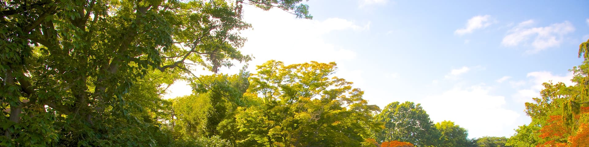 Mona Vale which includes a pond and a garden