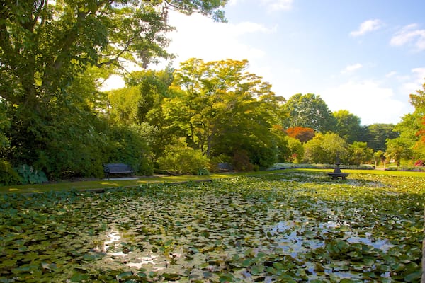 Mona Vale mit einem Garten und Teich