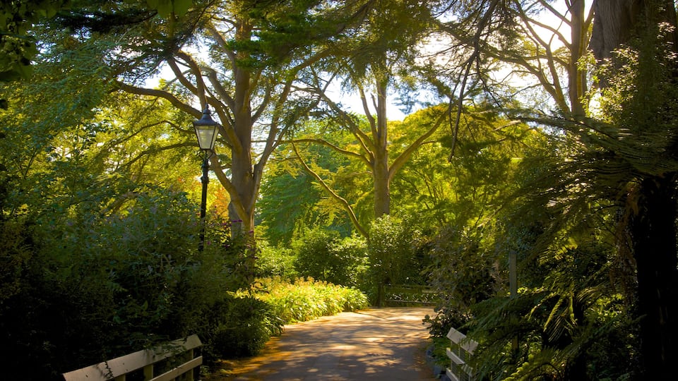 Mona Vale showing a garden