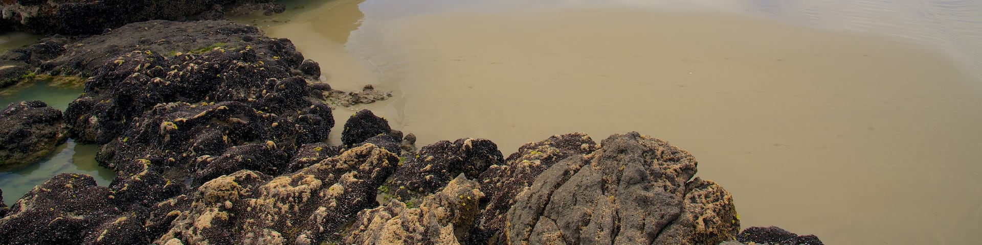 Sumner Beach showing rocky coastline