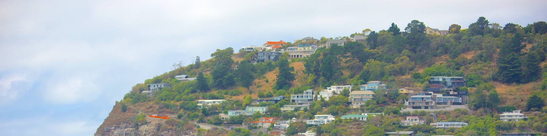 Sumner Beach showing rugged coastline, surfing and a coastal town