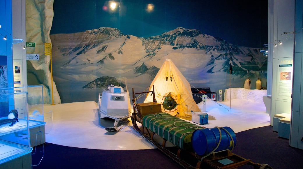 International Antarctic Centre featuring interior views