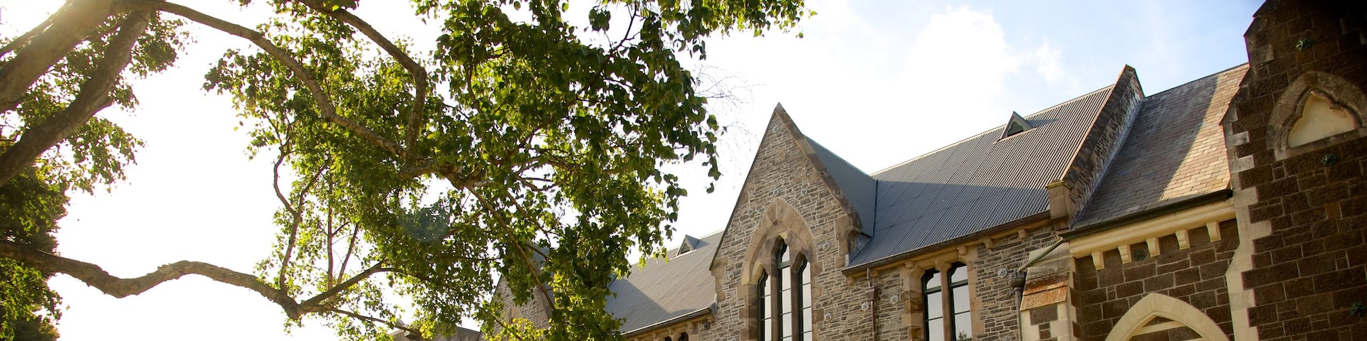 Christchurch Botanic Gardens showing heritage elements as well as a large group of people