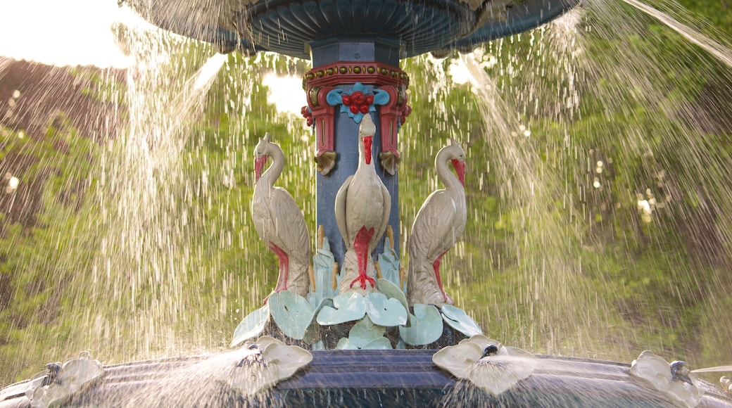 Christchurch Botanic Gardens showing a fountain