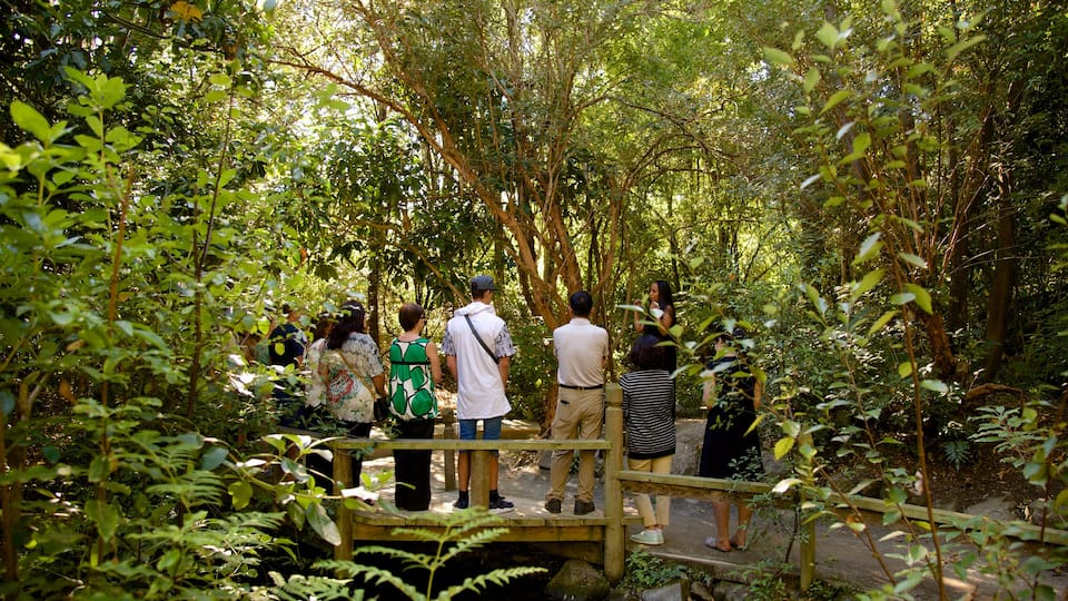 Willowbank Wildlife Reserve caracterizando floresta tropical assim como um grande grupo de pessoas