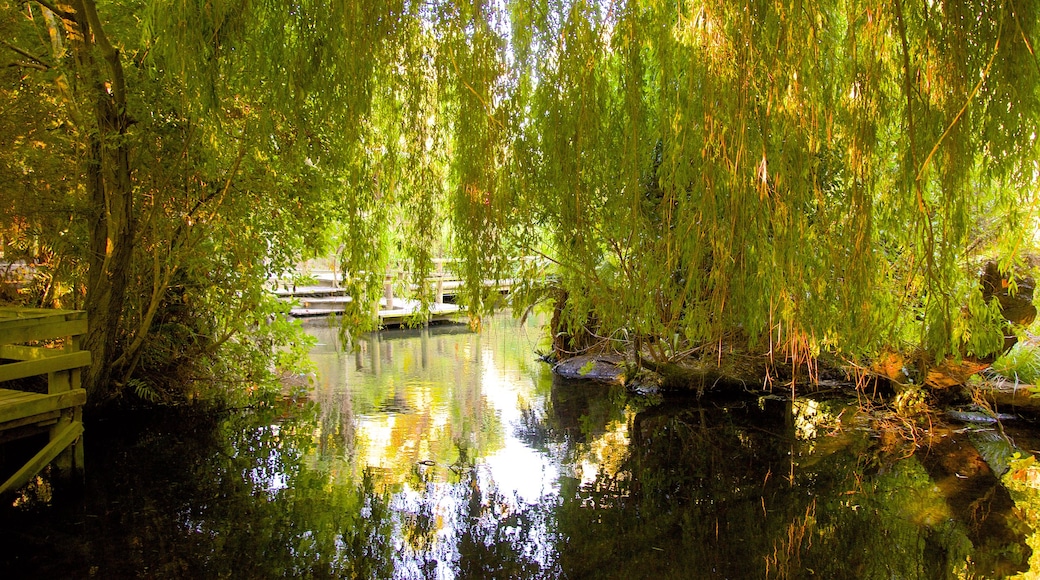 Willowbank Wildlife Reserve which includes a pond