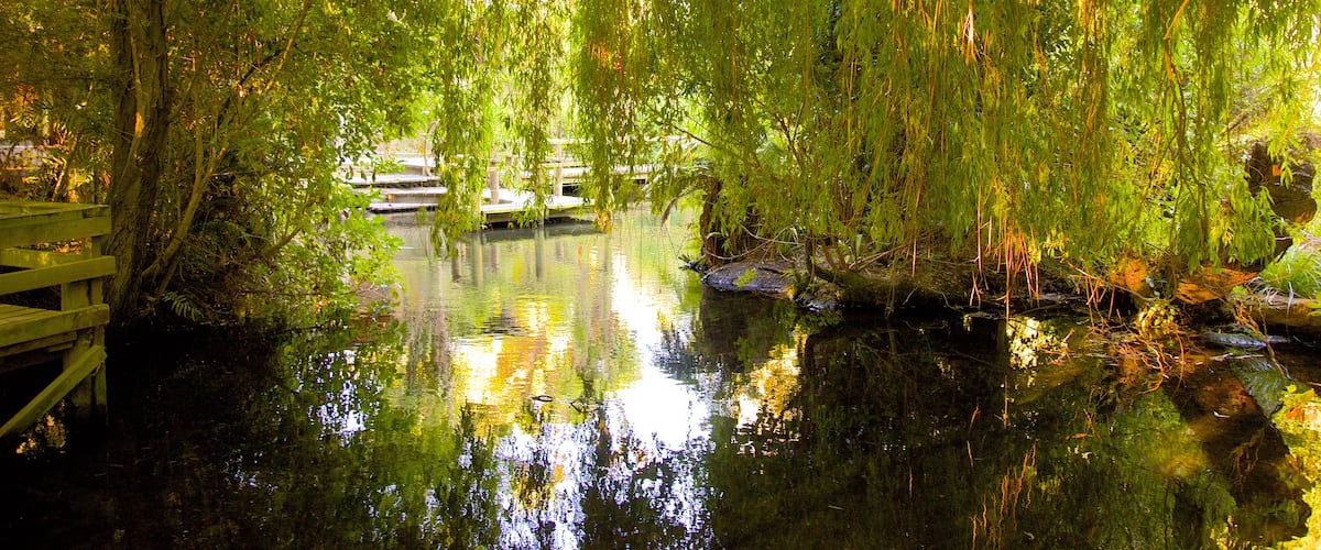 Willowbank Wildlife Reserve which includes a pond