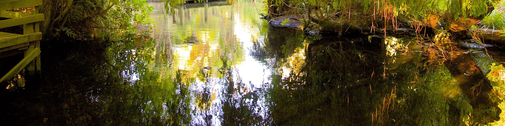 Willowbank Wildlife Reserve which includes a pond