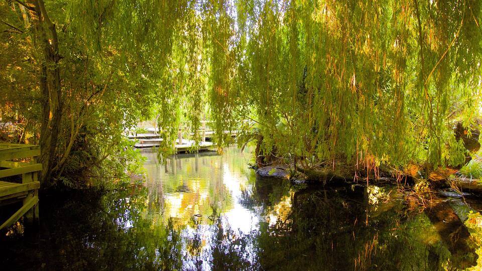 Willowbank Wildlife Reserve que inclui um lago