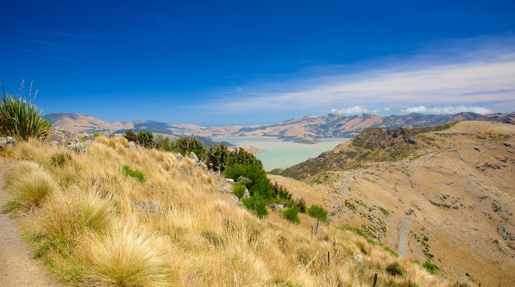 Mount Cavendish que incluye montañas