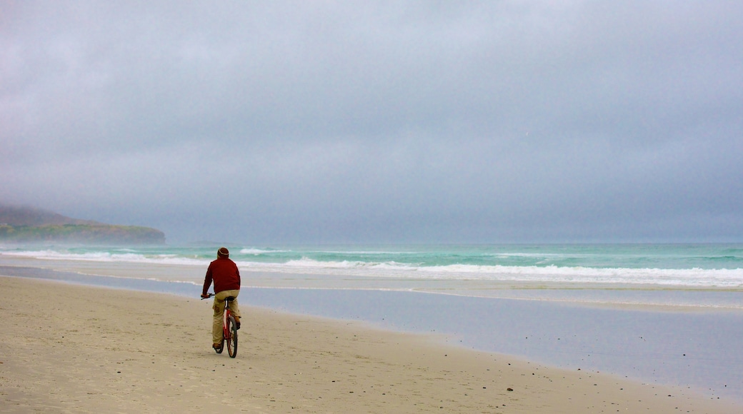 St. Clair Beach featuring cycling and a sandy beach as well as an individual male