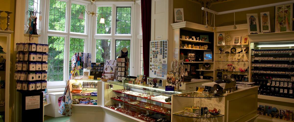 Olveston featuring interior views and shopping