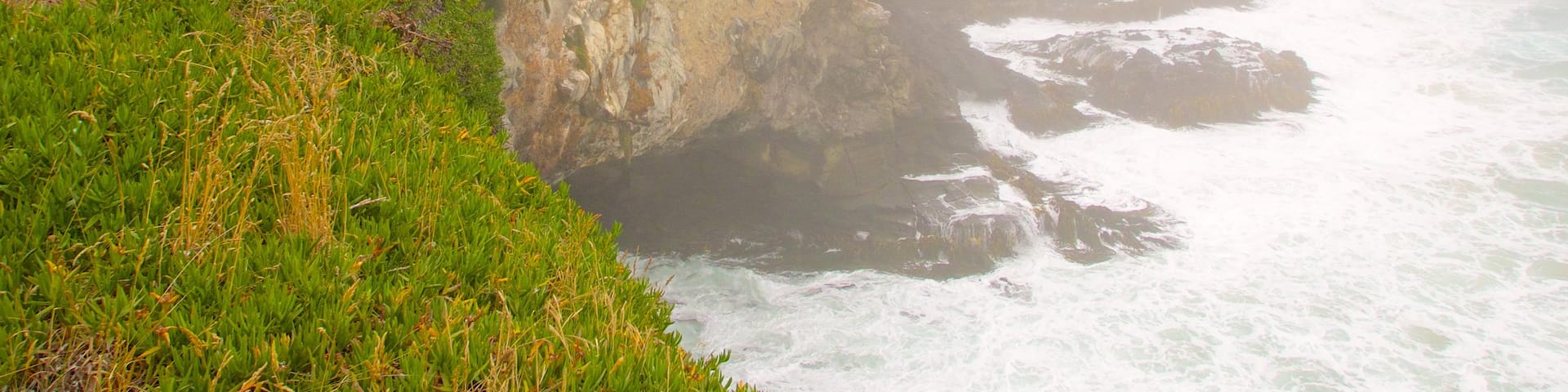 Royal Albatross Centre which includes rocky coastline, mist or fog and a gorge or canyon