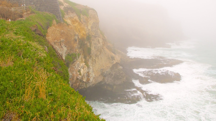 Royal Albatross Centre which includes rocky coastline, mist or fog and a gorge or canyon
