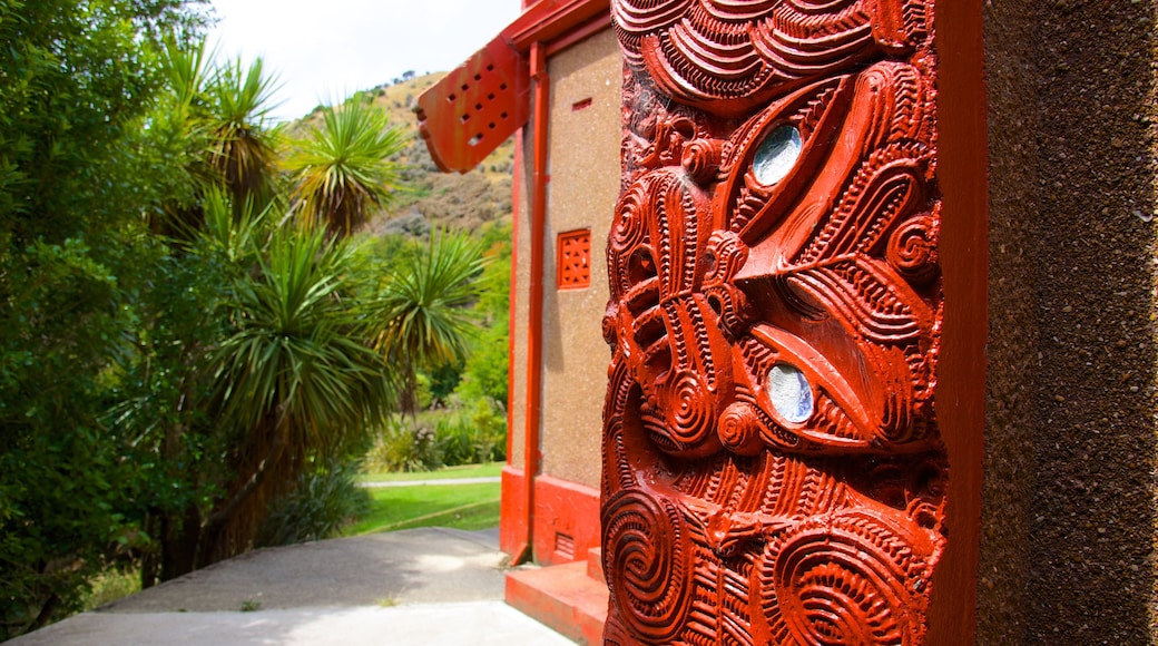 Dunedin featuring indigenous culture