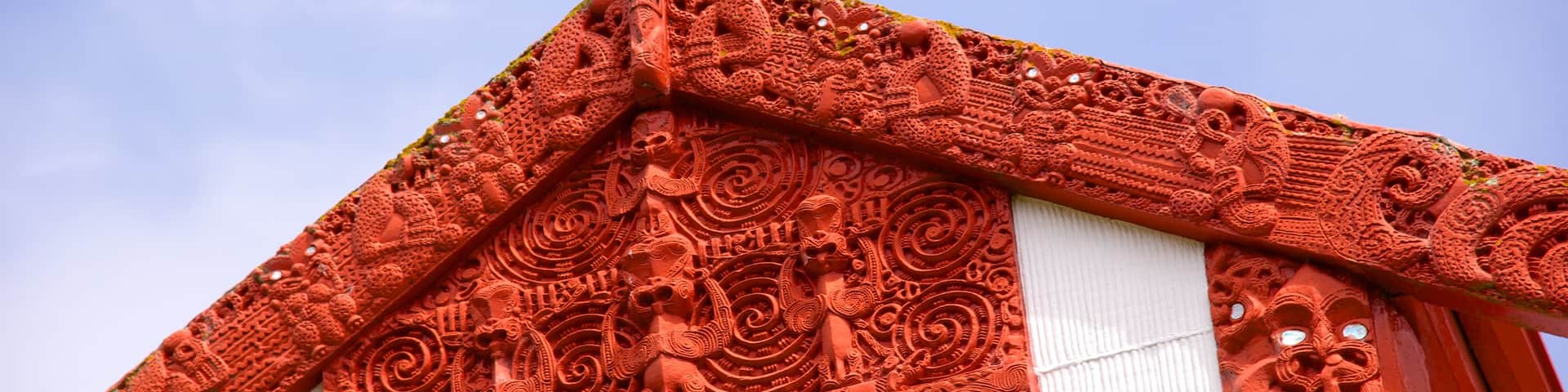 Dunedin featuring a church or cathedral and indigenous culture