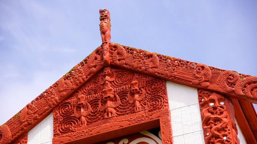 Dunedin featuring a church or cathedral and indigenous culture