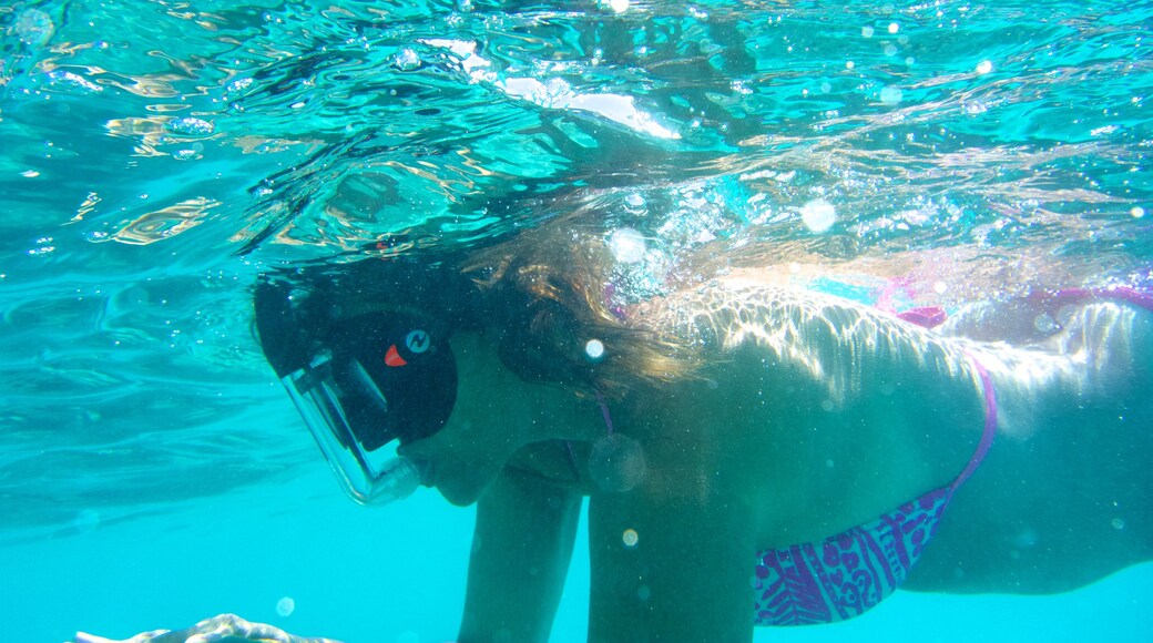 Isle of Pines ofreciendo natación y snorkel y también una mujer