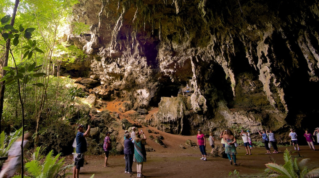 Isle of Pines