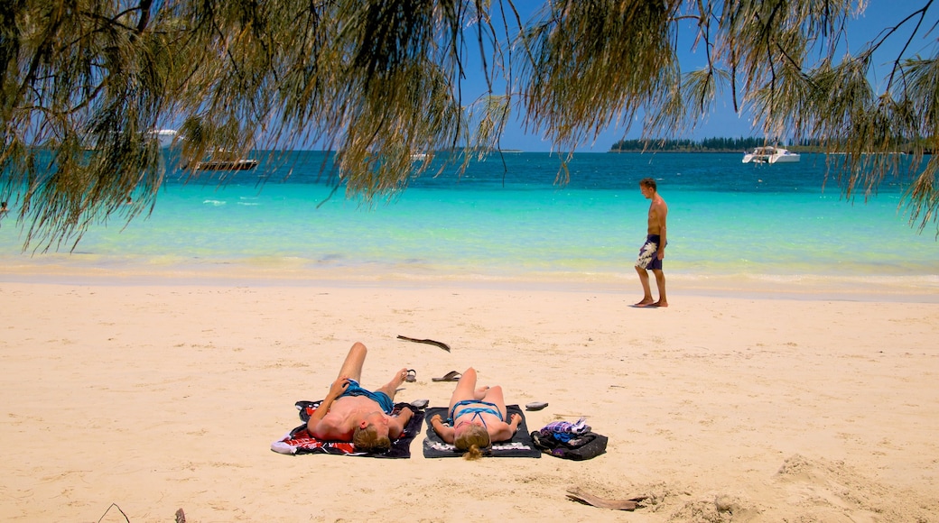 Kuto Beach som visar en strand såväl som en liten grupp av människor