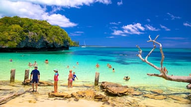 Kanumera Beach featuring rocky coastline and swimming as well as a large group of people