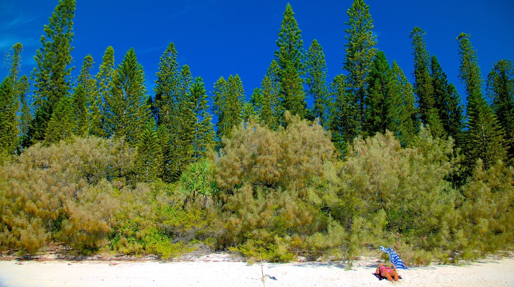 Isle of Pines which includes a sandy beach