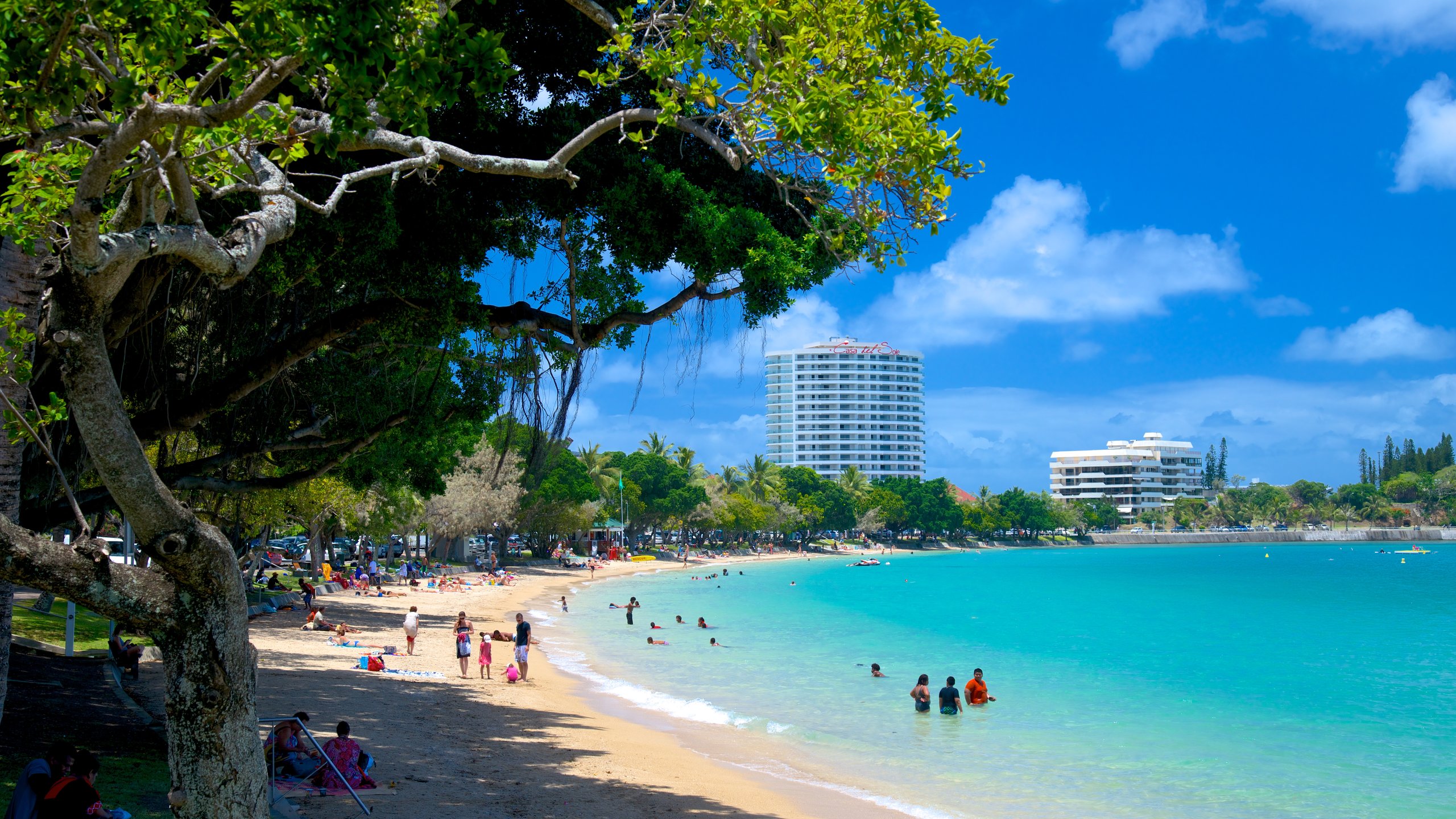 Travel Baie des Citrons: Best of Baie des Citrons, Visit Nouméa ...