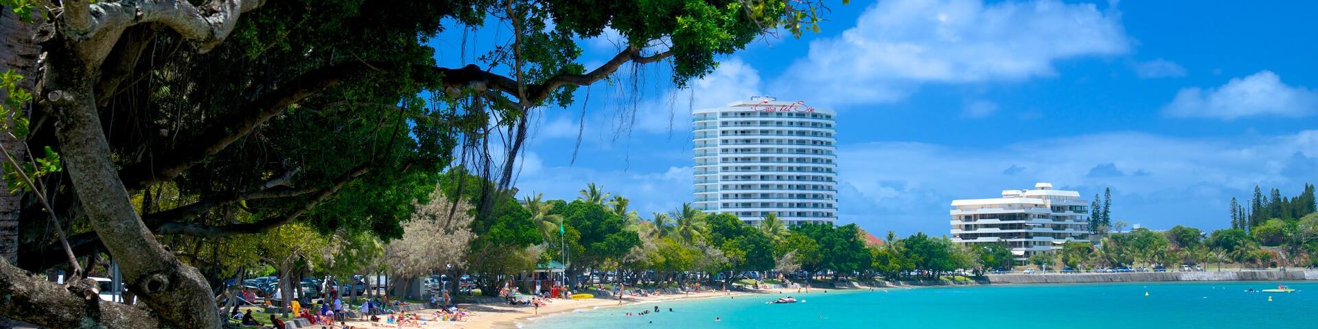 Baie des Citrons showing a bay or harbor and a beach as well as a large group of people