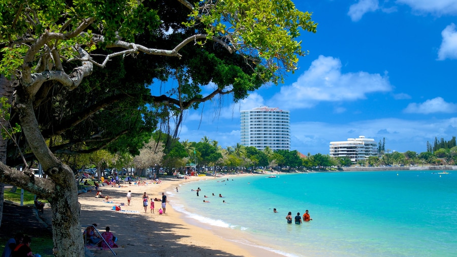 Baie des Citrons mostrando una playa de arena y una bahía o un puerto y también un gran grupo de personas