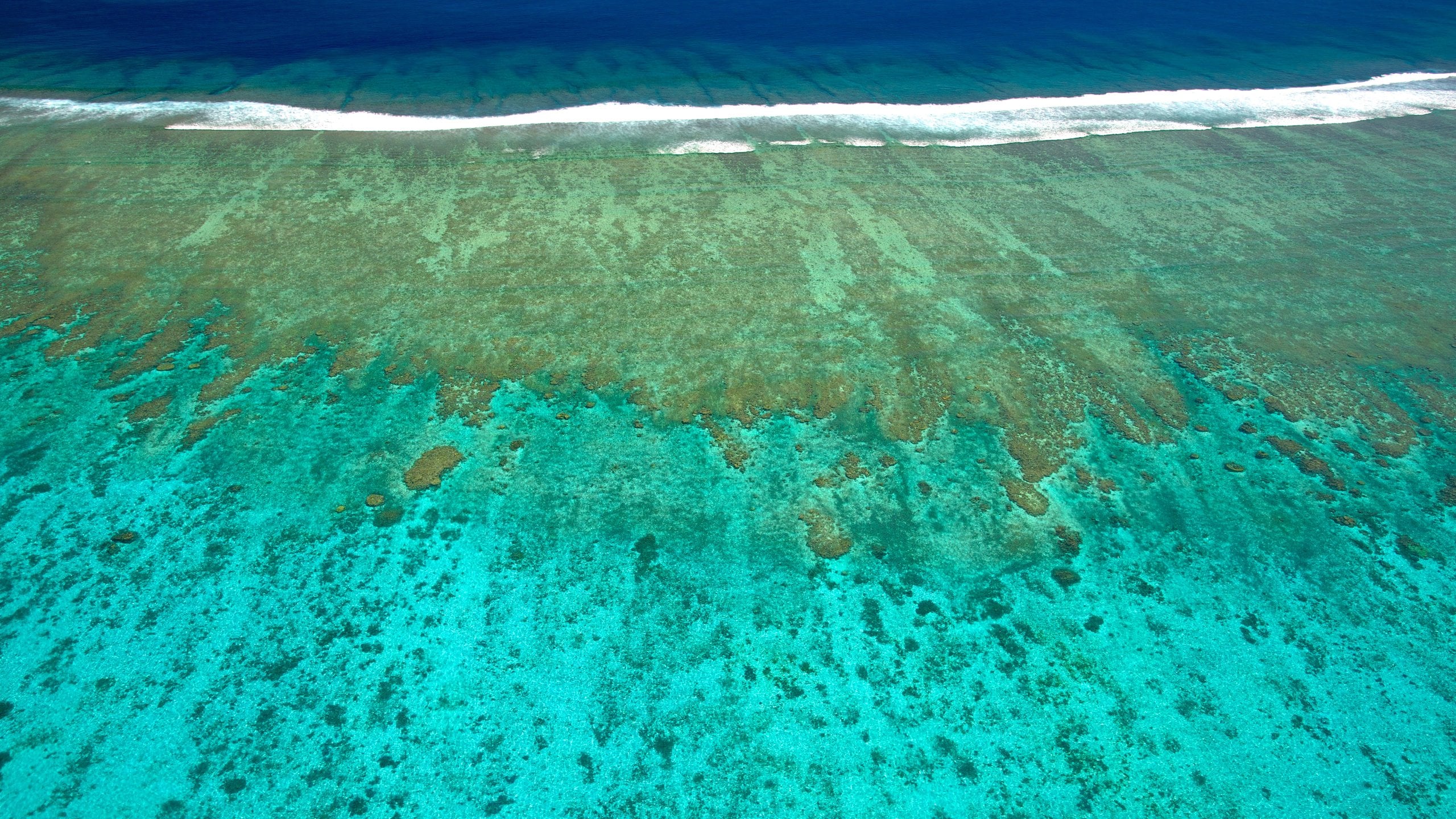 Nouméa featuring colorful reefs