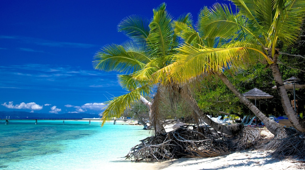 Noumea showing a beach