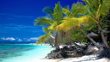 Noumea which includes a beach