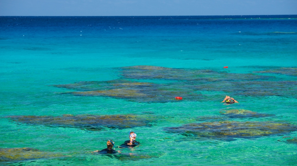 Lifou featuring snorkelling and coral as well as a small group of people