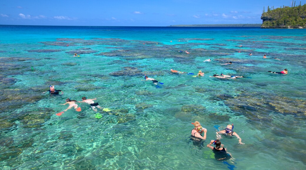 Lifou which includes snorkelling and coral as well as a large group of people