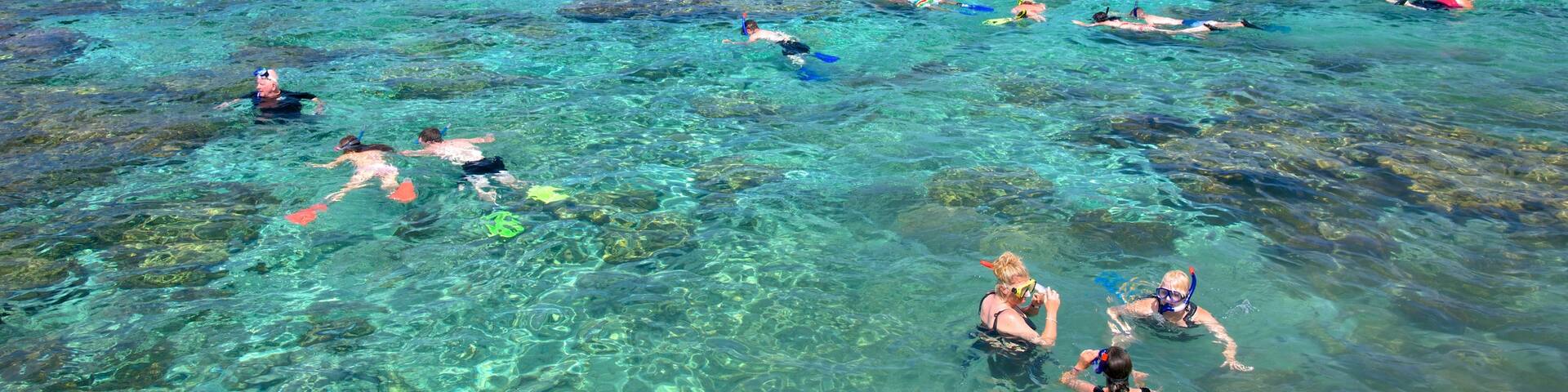 Lifou which includes snorkelling and coral as well as a large group of people