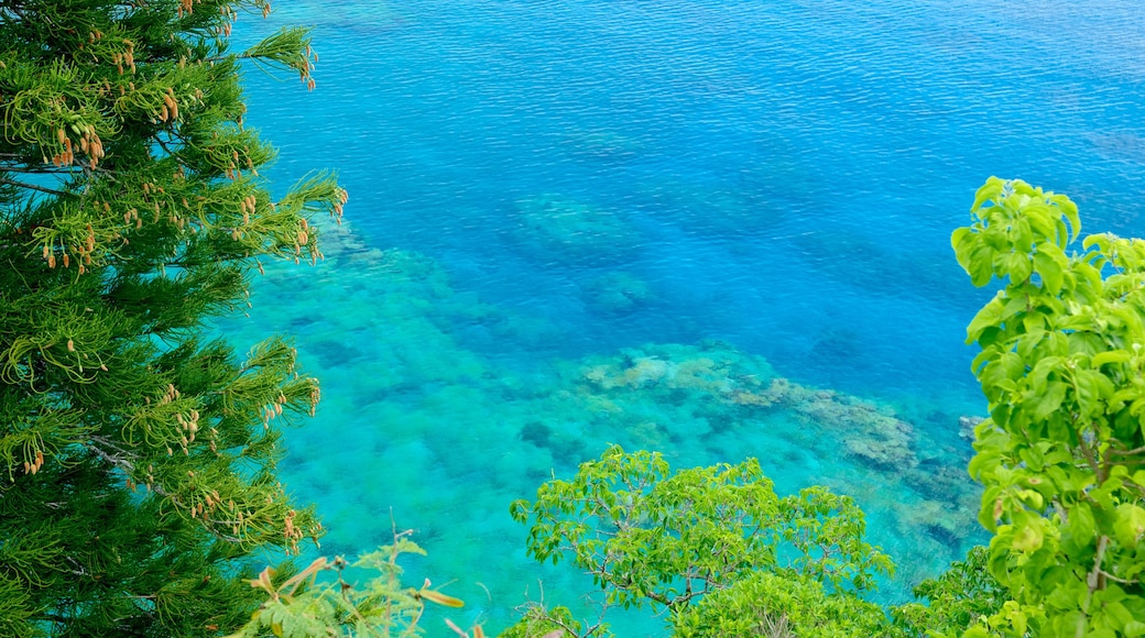 Lifou featuring colourful reefs