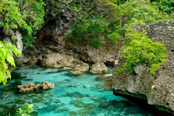 Lifou featuring coral