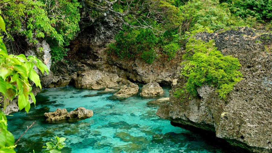 Lifou que incluye arrecifes coloridos