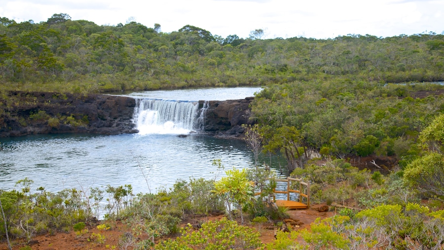 Yate mostrando un lago o espejo de agua y cataratas