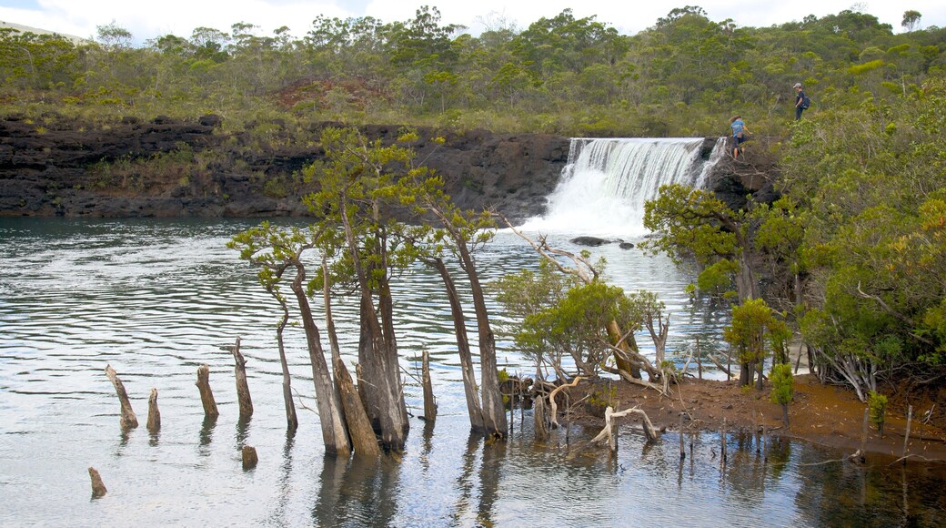 Visit Yaté 2024 Travel Guide for Yaté, South Province Expedia