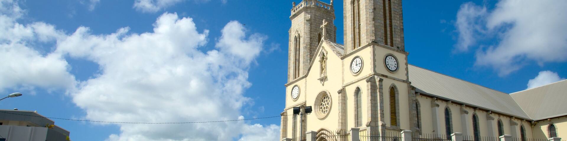 Noumea Cathedral featuring heritage elements