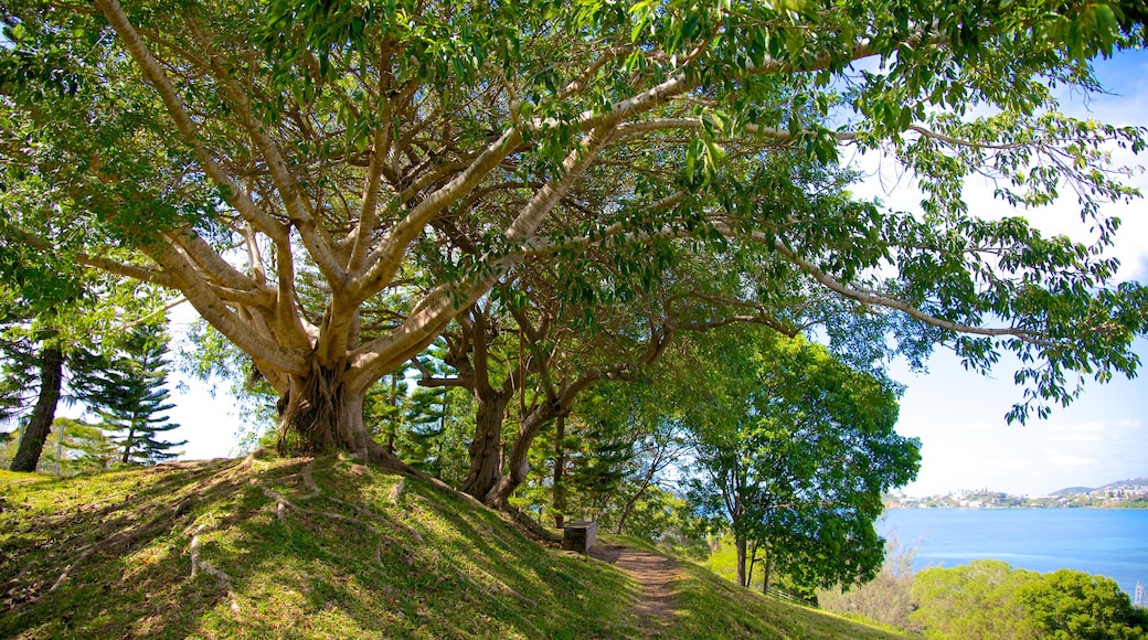 Pusat Kebudayaan Jean-Marie Tjibaou