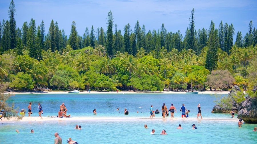 Kanumera Beach showing swimming and general coastal views as well as a large group of people
