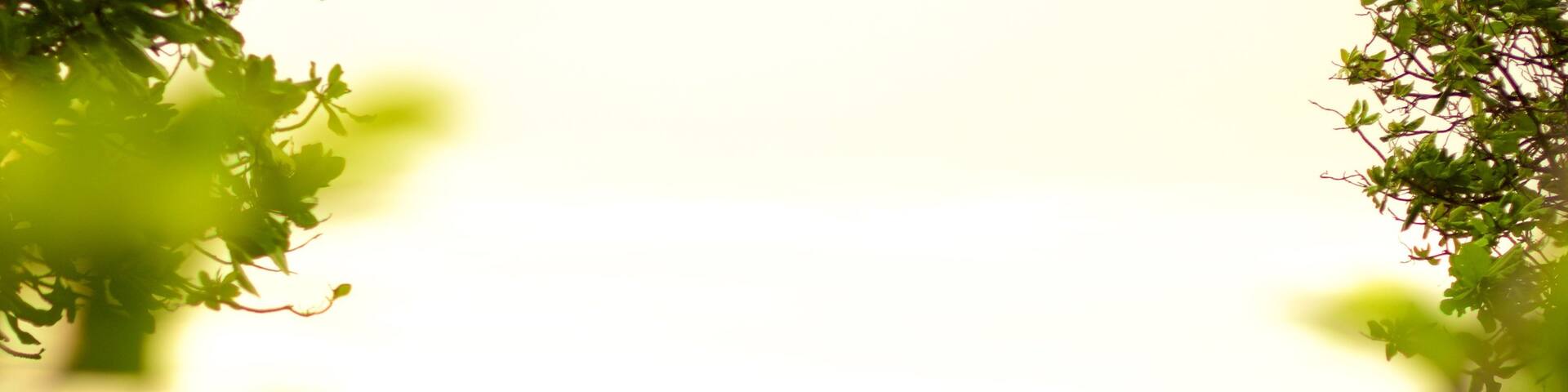 Marine Drive as well as a large group of people