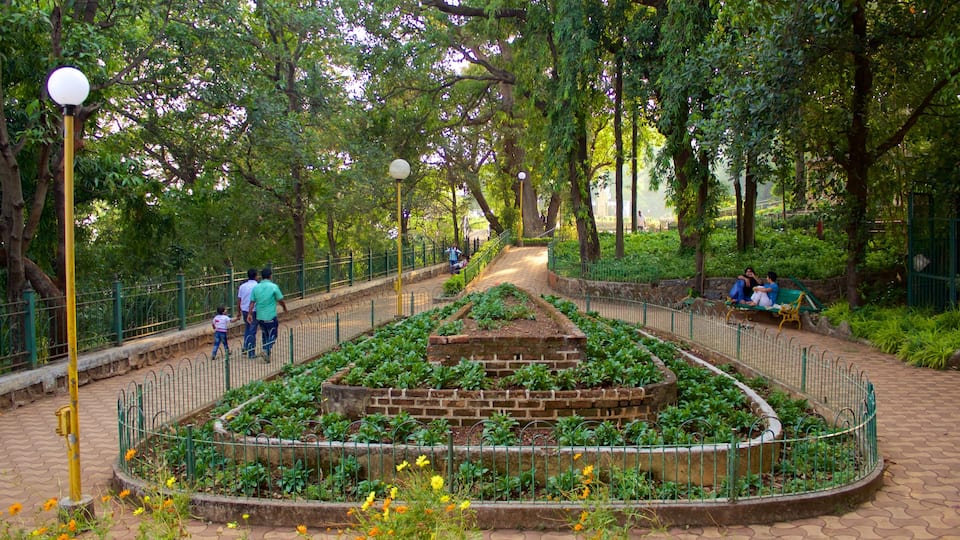 Kamala Nehru Park showing a garden