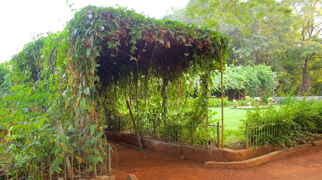 Parque Kamala Nehru caracterizando um jardim