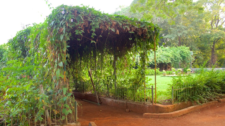 Kamala Nehru Park showing a garden