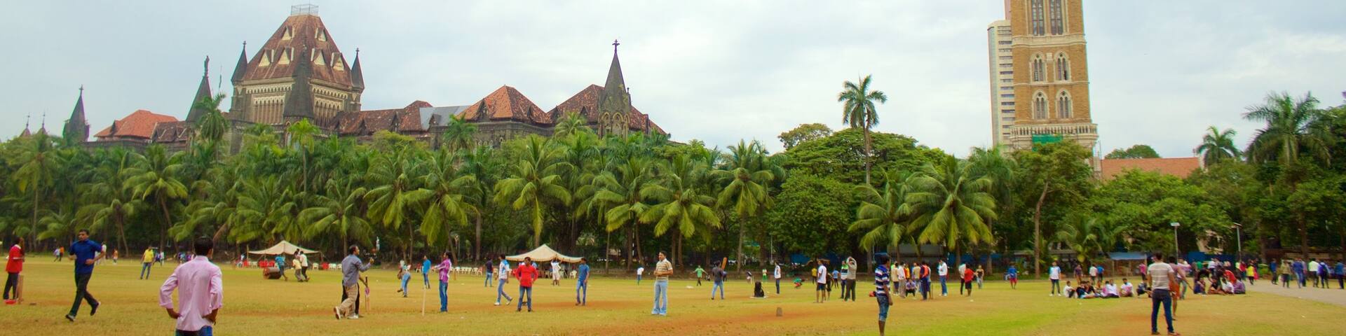 Rajabai Tower showing a park as well as a large group of people